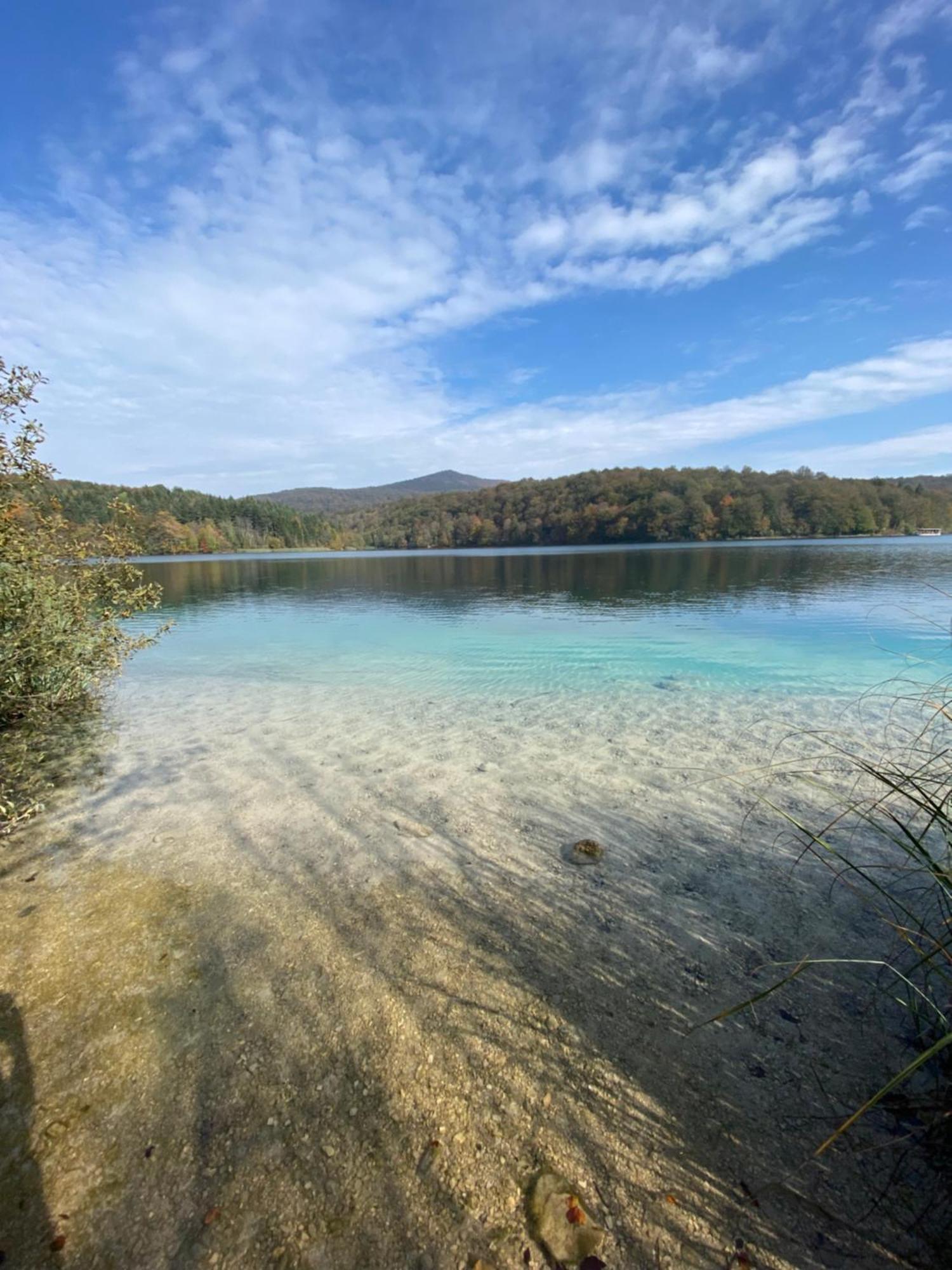 B&B Plitvice Area Natura Seliste Dreznicko Eksteriør billede